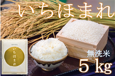 【特Ａ米】福井県産いちほまれ無洗米 令和3年産　5kg