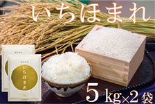 新米】福井県産 華越前 令和5年産 10kg: 越前わかさ味浪漫|【ＪＡ