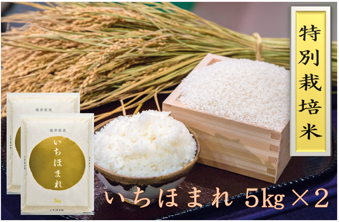 特別栽培米いちほまれ5Kg×2＿福井県産＜令和5年産＞