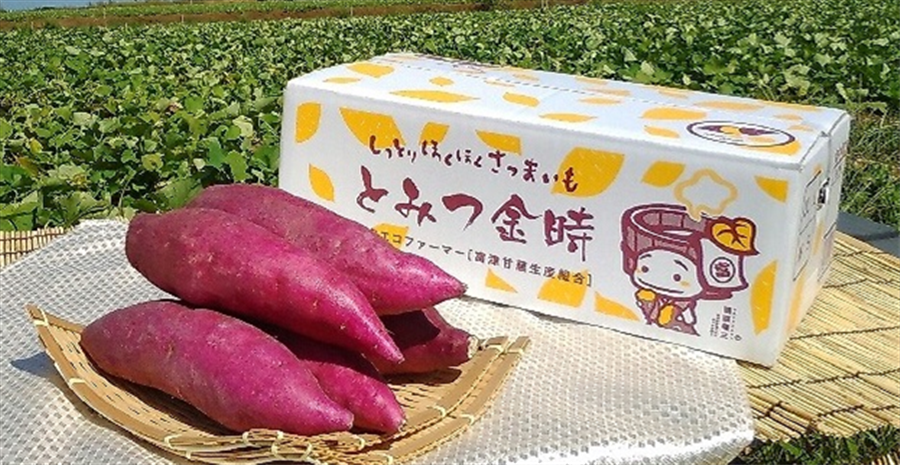 Ƃ݂Q䌧Y@3Kg
