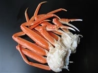 ���K�j�Q�z�O�Y�@��2�t(4��)