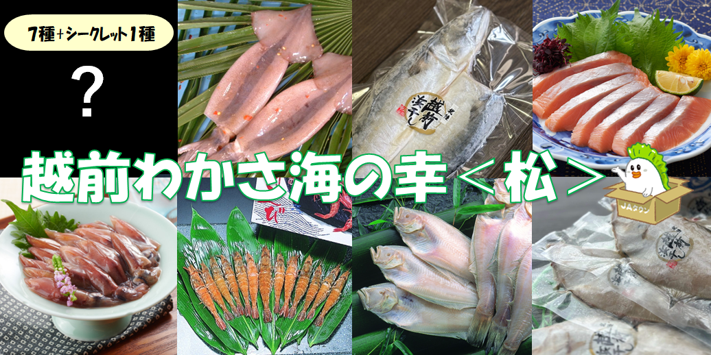 yĂ̕܁zzO킩C̍Ky85菇z