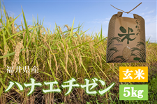 【玄米】ハナエチゼン5Kg＿福井県産＜令和5年産＞