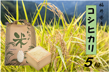 令和6年産 福井県産 こしひかり 5kg | JTBショッピング