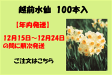 zO@100{yNF12/15`12/24z