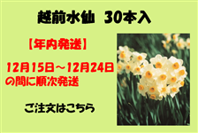 zO@30{yNF12/15`12/24z