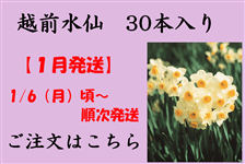  ZzO@RO{QQQQyPF1/6`1/31z