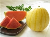 uiՂjv1ʁy69`z