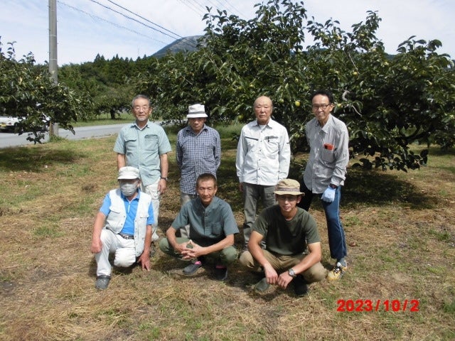 通販　秋季限定】伊吹平核無柿<ひらたねなしかき>:　近江の味彩|【ＪＡタウン】産地直送　お取り寄せ