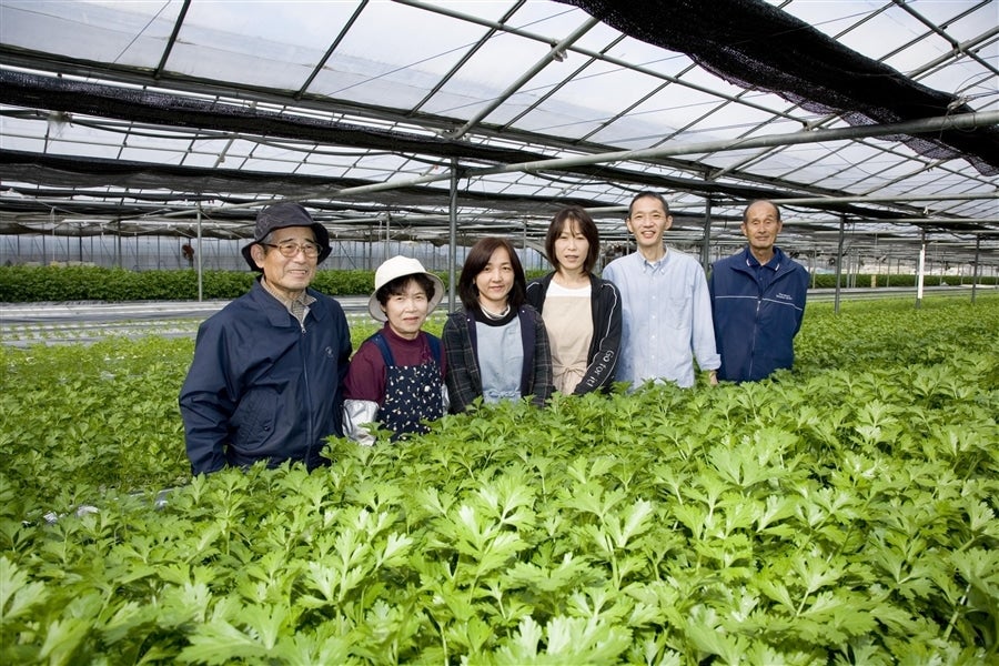 イーファームの滋賀県産ミニセロリ(約150g×20袋入り)