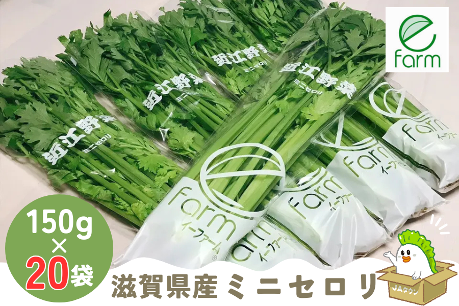 イーファームの滋賀県産ミニセロリ(約150g×20袋入り)