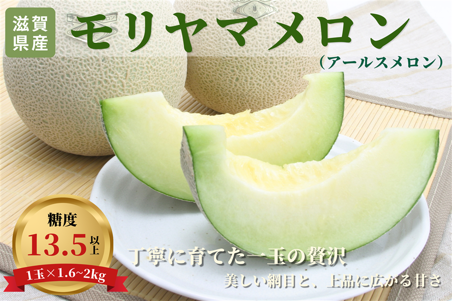 糖度13.5度以上】モリヤマメロン アールス 1玉: 近江の味彩|【JA