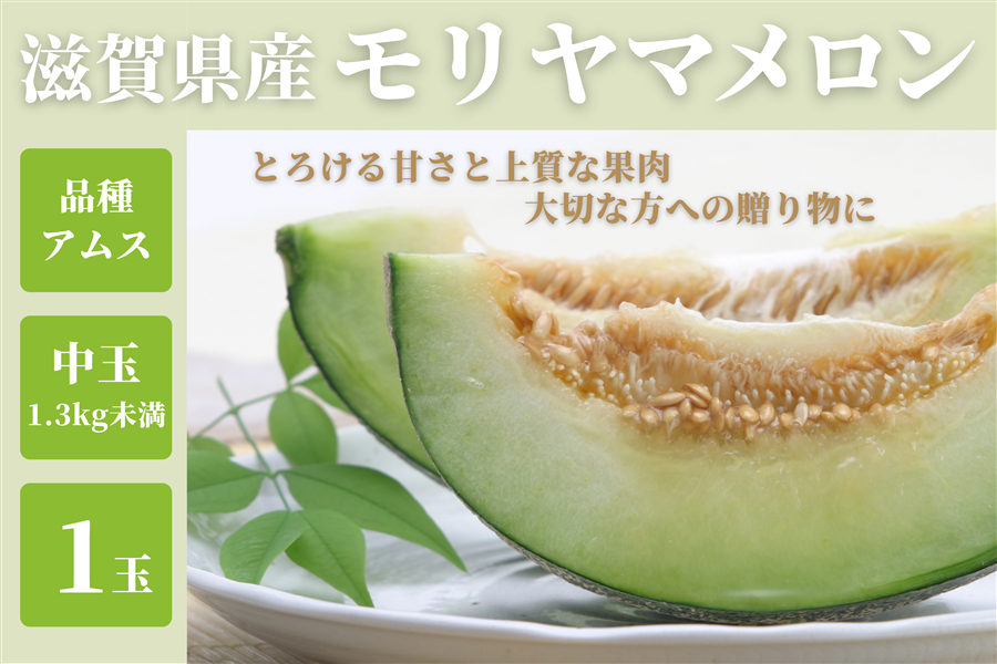 メロン 滋賀県産 モリヤマメロン アムス 1玉（1.3kg未満）: 近江の味彩|【JA