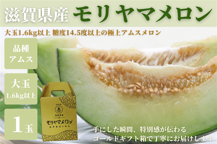 スペシャル】滋賀県産 モリヤマメロン アムス 1玉（大玉1.6kg以上