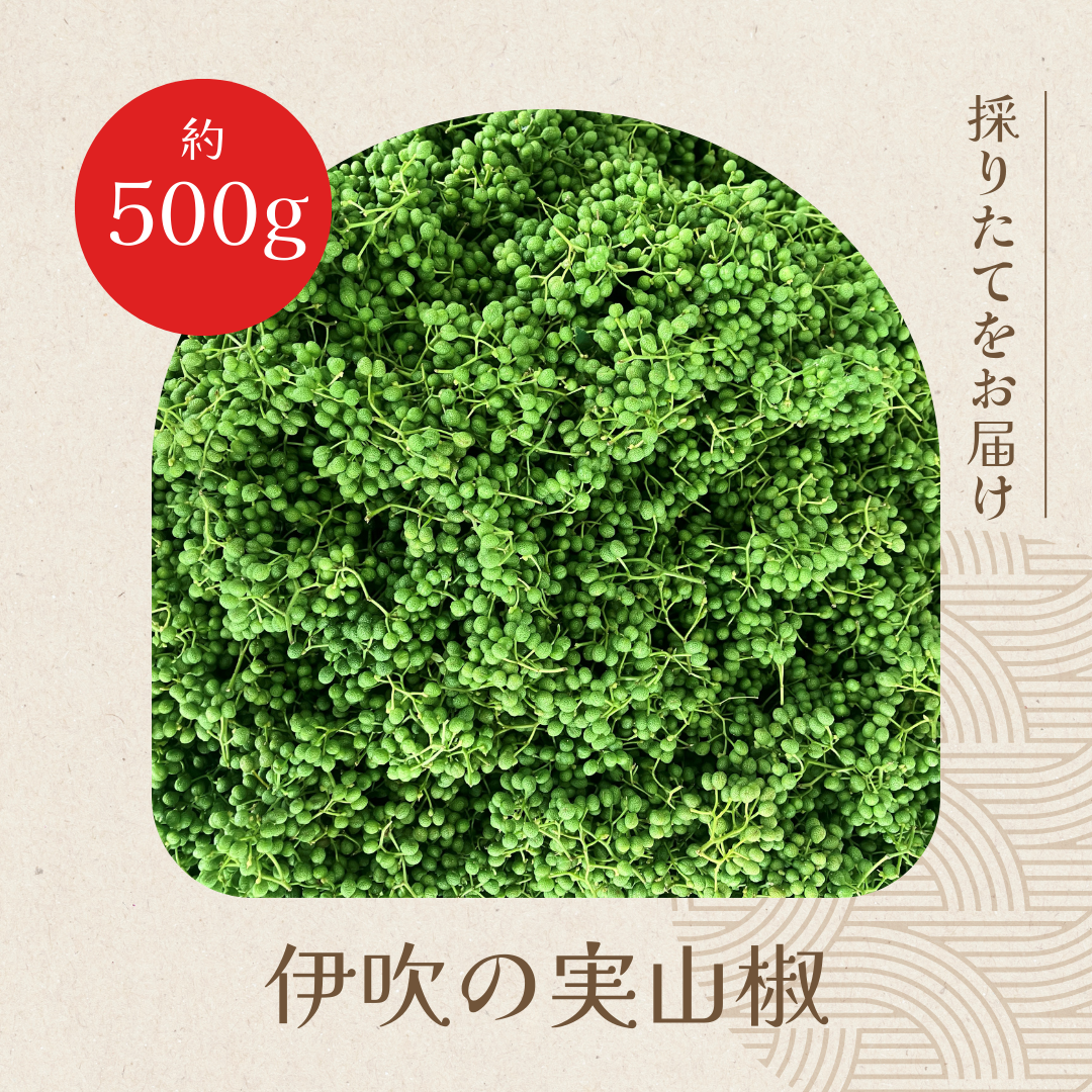 y\̔ẑ肽ā@ɐ̎R@500g