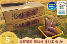 yH~zKiO 󂠂 ꌧY ܂ig͂邩j5kg