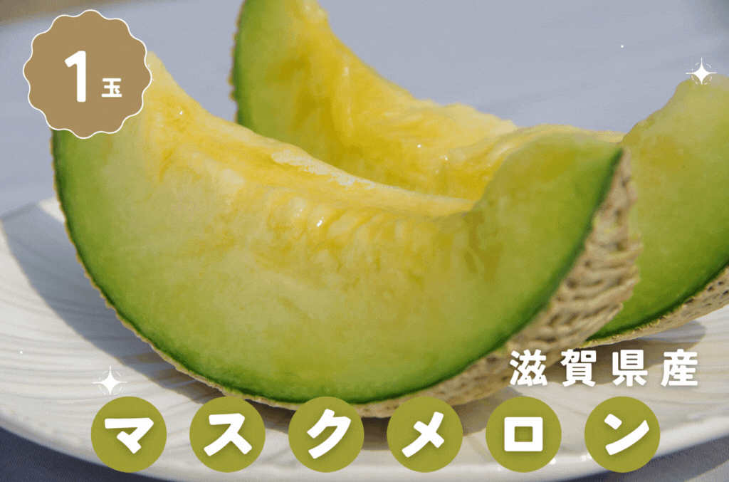 yzɐ̃}XNij1