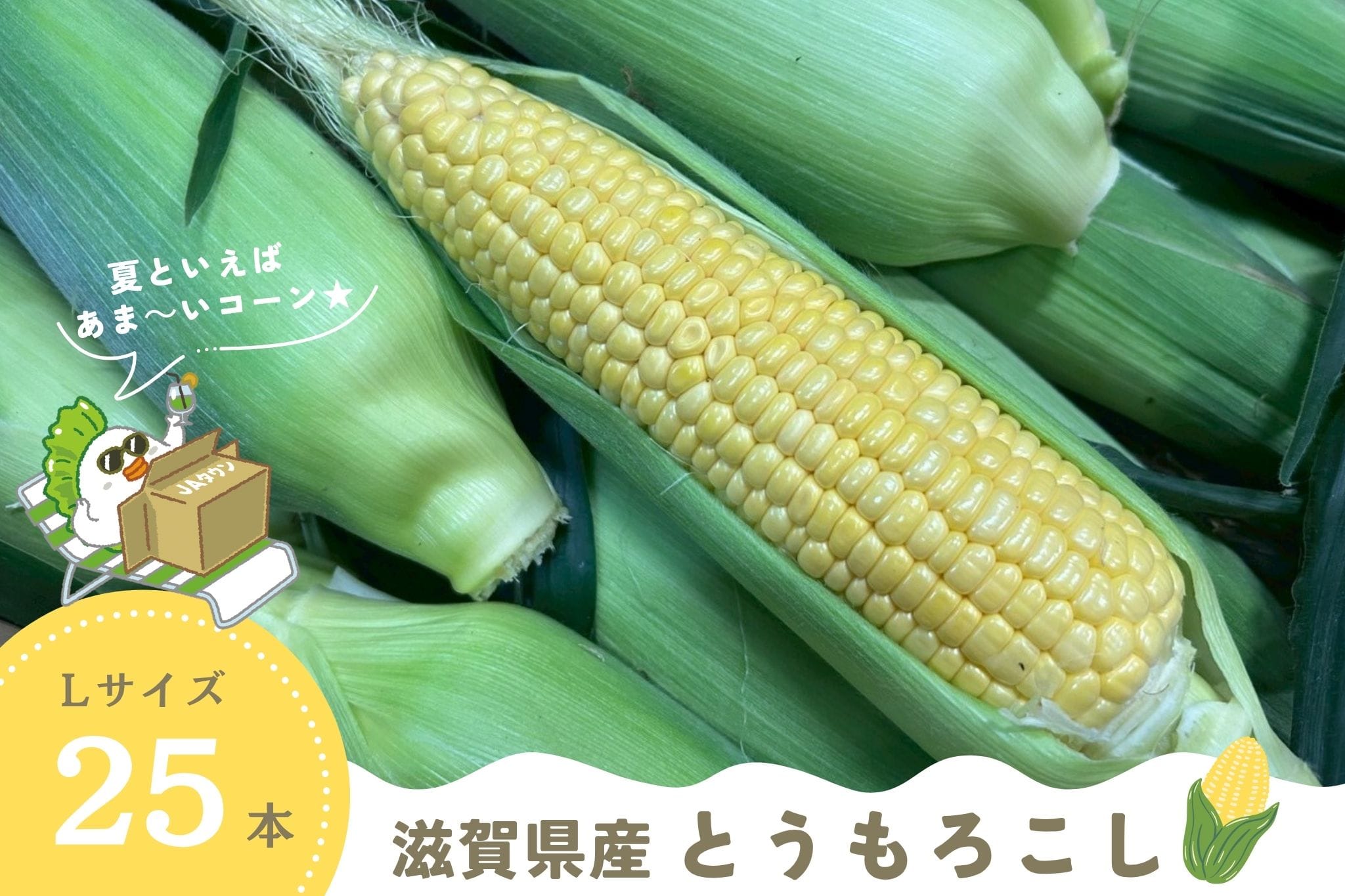 yċGzꌧY Ƃ낱 25{Zbg