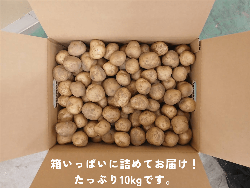 品種が選べる】滋賀県産じゃがいも Sサイズ 約10kg: 近江の味彩|【JA