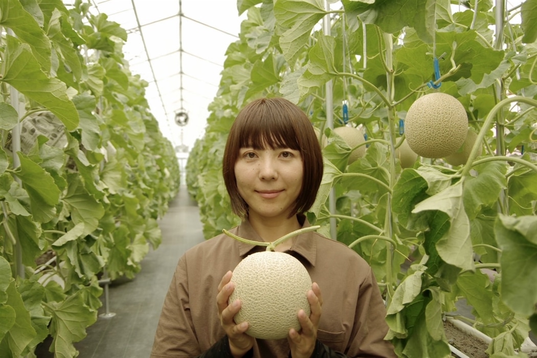 5101-melon02_20260702143517568