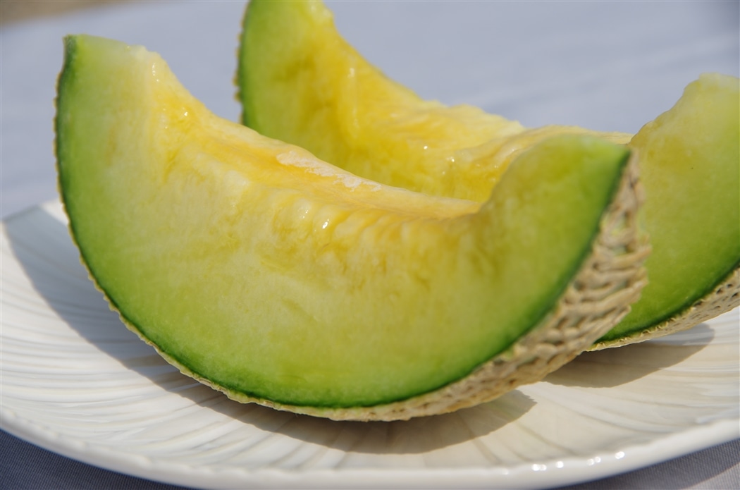 5101-melon02_20260702143517756