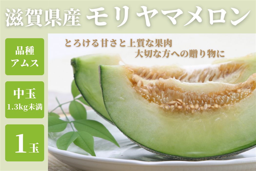 メロン石 滋賀県産 モリヤマメロン アムス 1玉（1.3kg未満）: 近江の味彩|【JA