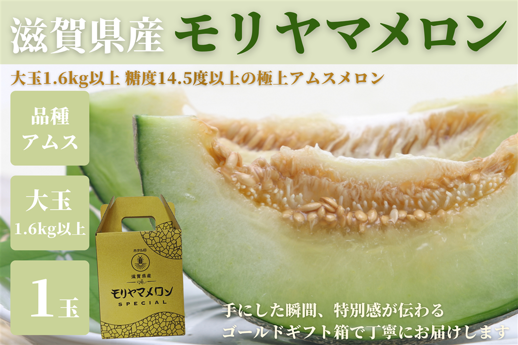 1円～ ご家庭用メロン 高知県産 マスクメロン 6玉入り 約6.5