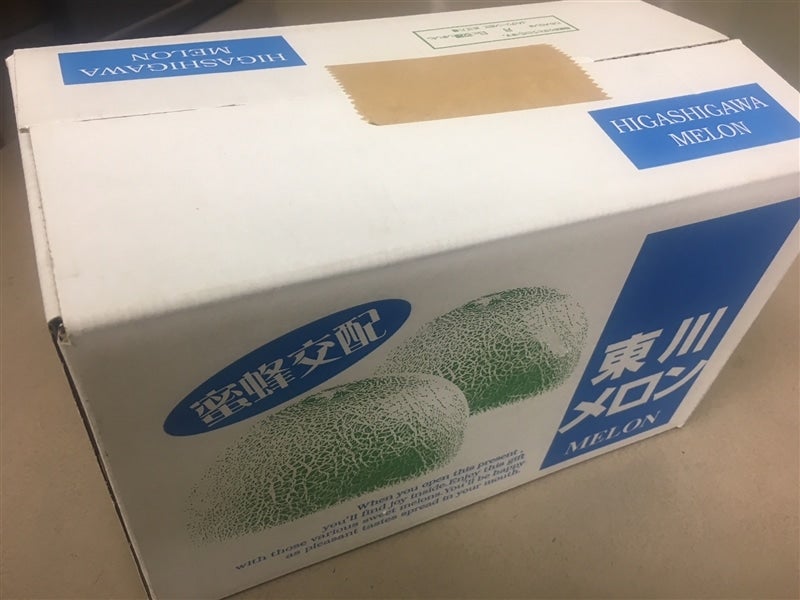 お中元 近江東川メロン 2個入り(2個で1箱): 滋賀・近江・琵琶湖へ“き