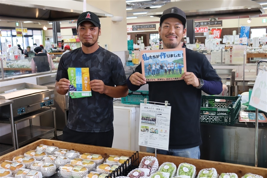 淡海なし【香麓】 約3キロ（5～9玉）: 滋賀・近江・琵琶湖へ“きてか