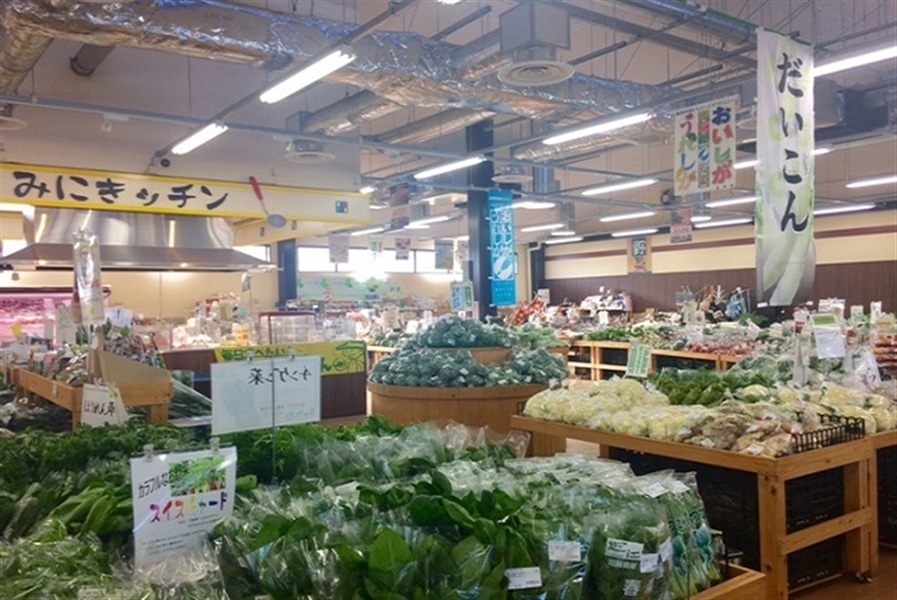 You Tube公開限定 野菜ソムリエが選ぶ 近江の野菜BOX(7品): 滋賀・近江