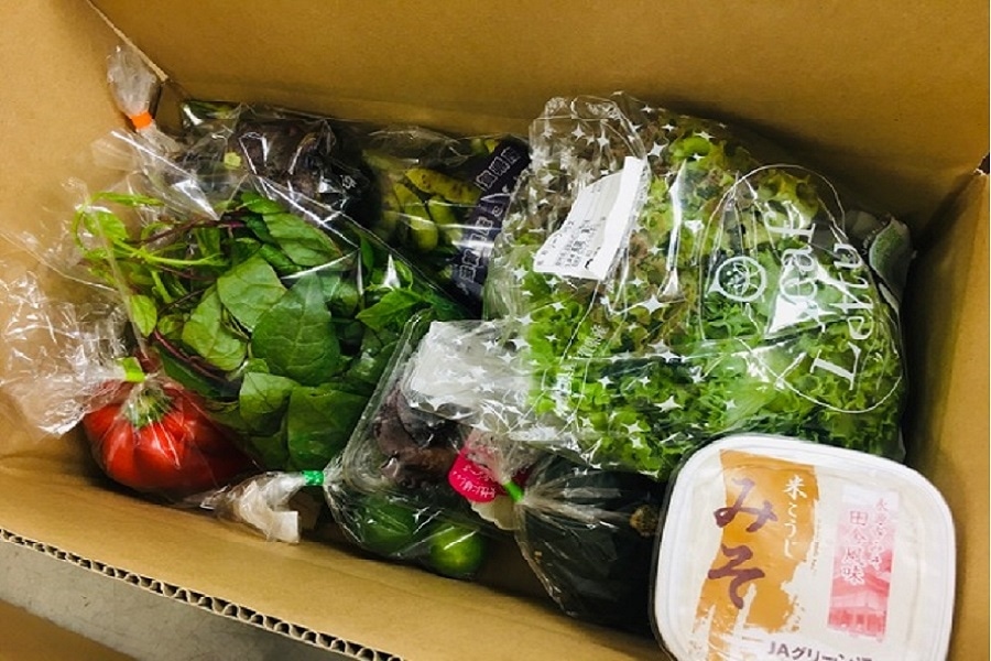 野菜ソムリエが選ぶ 近江の野菜BOX(JAのみそ付): 滋賀・近江・琵琶湖
