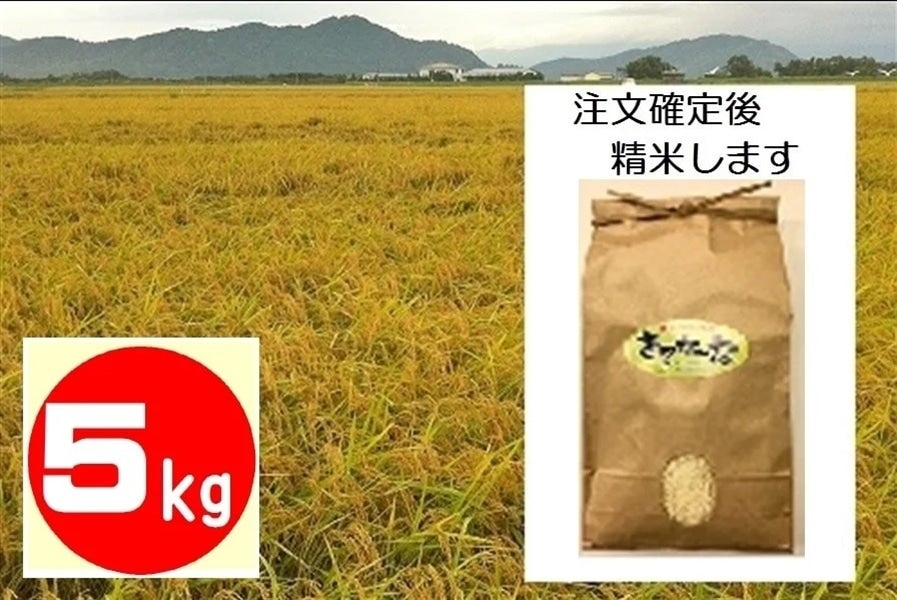 令和５年産 新米】店頭精米 キヌヒカリ 5kg: 滋賀・近江・琵琶湖へ“きてか～な”|【ＪＡタウン】産地直送 通販 お取り寄せ