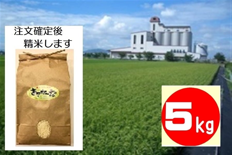 www.jkpinturas.com.py - こだわりのお米 価格比較
