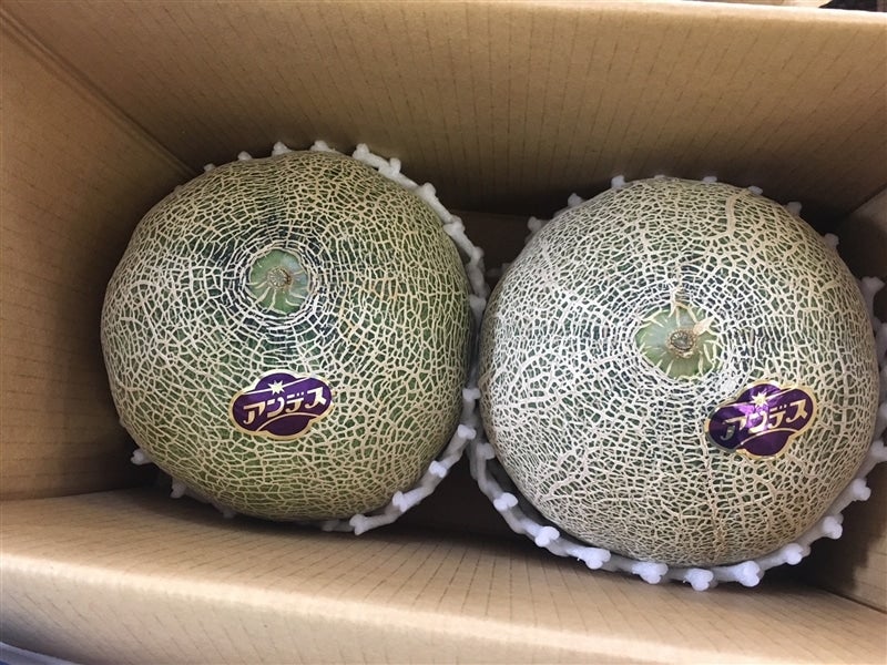 お中元 近江東川メロン 2個入り(2個で1箱): 滋賀・近江・琵琶湖へ“き