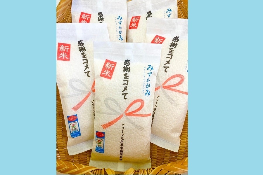 産地直送 通販 お取り寄せみずかがみ 白米真空パック 小 真心コメてﾊﾟｯｹｰｼﾞ 滋賀 近江 琵琶湖へ きてか な ｊａタウン