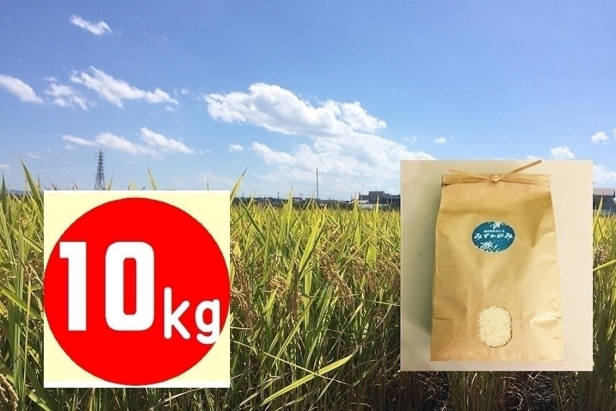 産地直送 通販 お取り寄せ新米 みずかがみ 10kg 滋賀県認証環境こだわり米 滋賀 近江 琵琶湖へ きてか な ｊａタウン