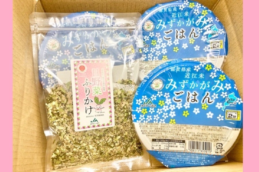 【お歳暮】ご飯のお供に!日野菜ふりかけとパックご飯(小)
