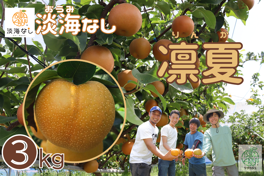 淡海なし【凜夏】 約3キロ（5～9玉）: 滋賀・近江・琵琶湖へ“きてか
