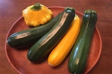 売場チョイス いろいろズッキーニ(野菜のみ): 滋賀・近江・琵琶湖へ“き