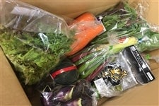 【特急便】野菜ソムリエが選ぶ　近江の野菜BOX(9品)