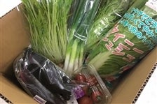 野菜ソムリエが選ぶ　近江の野菜BOX(５種)
