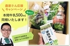 野菜ソムリエのレシピ付　近江の野菜BOX(10品＋牛乳)