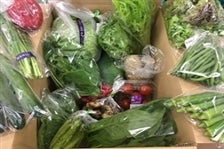 野菜ソムリエのレシピ付 近江の野菜BOX(15品)