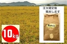 産地直送 通販 お取り寄せ滋賀のお米|JAタウン
