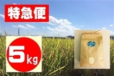 【特急便】みずかがみ 5kg 滋賀県認証環境こだわり米
