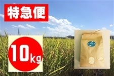 【特急便】みずかがみ 10kg 滋賀県認証環境こだわり米