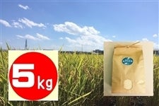 【令和５年産　新米】みずかがみ 5kg 滋賀県認証環境こだわり米