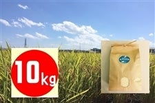 【令和５年産　新米】みずかがみ 10kg 滋賀県認証環境こだわり米