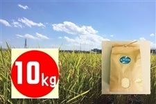 yߘaTNY@Vāz݂ 10kg ꌧF؊