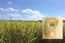 お歳暮 みずかがみ5kg 滋賀県認証環境こだわり米